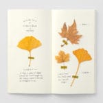 Traveler's Notebook Regular Size Refill 025 MD Cream Paper - Image 2