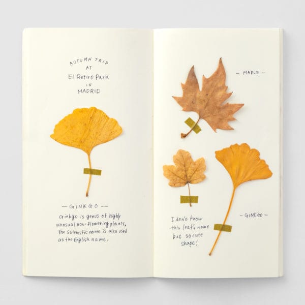 Traveler's Notebook Regular Size Refill 025 MD Cream Paper - Image 2