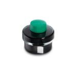 LAMY T52 Bottle Ink 50 mL - Green