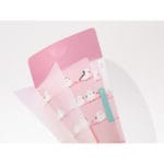 Midori 3 Pockets Clear Folder A5 Slim Flap - Long-tailed - Image 3