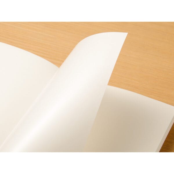 Traveler's Notebook Regular Size Refill Sticker Release Paper 031 - Image 5