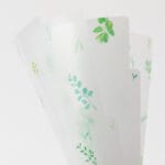 Midori 3 Pockets Clear Folder - Leaves - Image 3