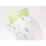 Midori 3 Pockets Clear Folder - Leaves - Image 2