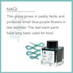 Sailor Manyo 4 Ink 50ml - Nagi - Image 3