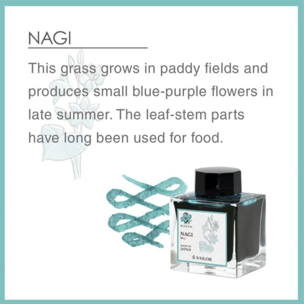 Sailor Manyo 4 Ink 50ml - Nagi - Image 3