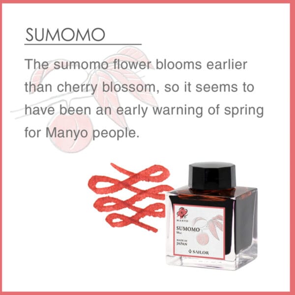 Sailor Manyo 4 Ink 50ml - Sumomo - Image 3