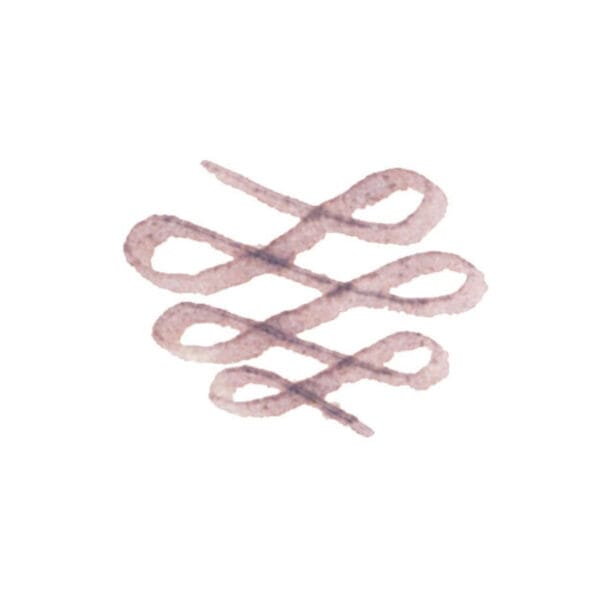 Sailor Manyo 4 Ink 50ml Limited Edition - Aka-Mai - Image 2