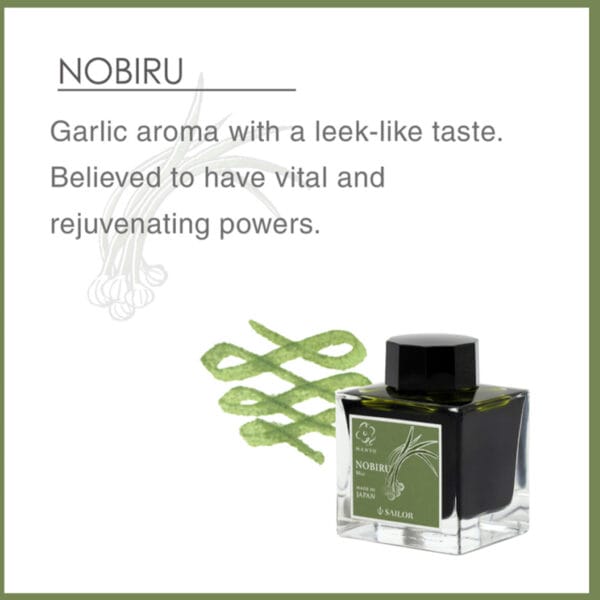 Sailor Manyo 4 Ink 50ml Limited Edition - Nobiru - Image 3