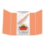 Pelikan M200 2025 Fountain Pen Set- Apricot - Image 2