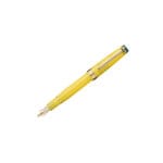 Sailor ProGear Slim Japanese Scenery 14K Fountain Pen - Tadogare